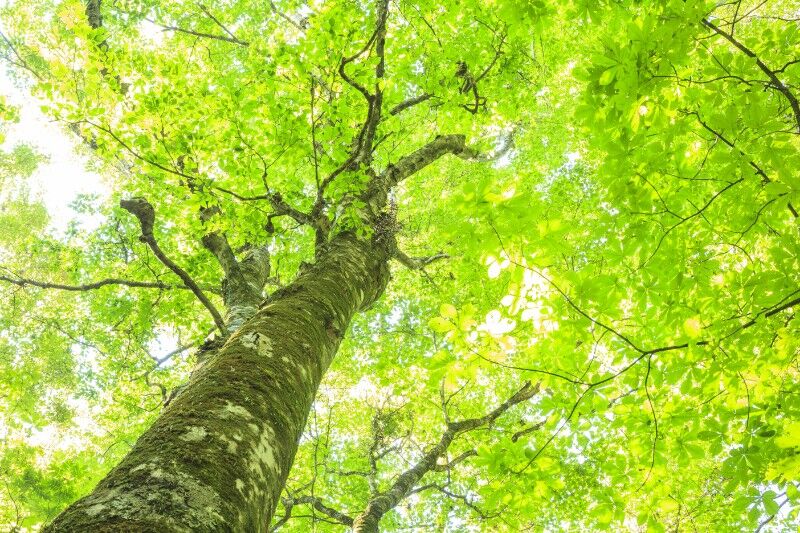 AdobeStock_90654283